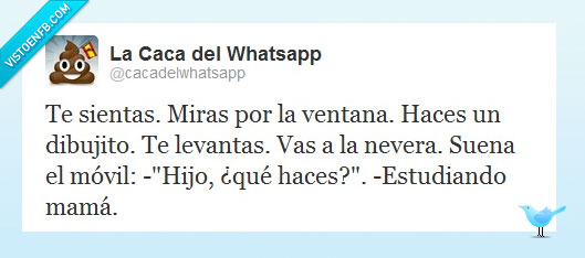 caca,estudiar,aburrido,distracción,madre