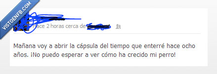 capsula,tiempo,enterrar,ocho,año,ver,perro,crecido,muerto,cadaver