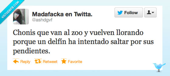 twitter,chonis,zoo,pendientes,delfines