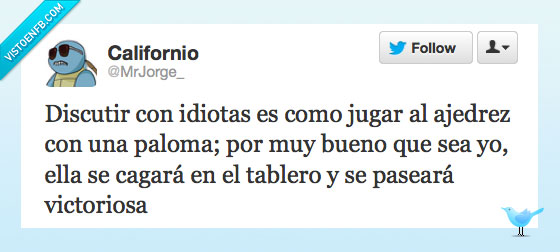 victoriosa,tablero,paloma,discutir