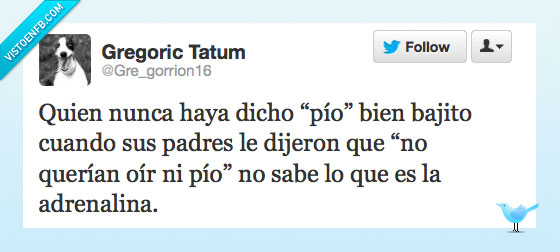 adrenalina,bajito,Rebelde,pío,regañar,bronca