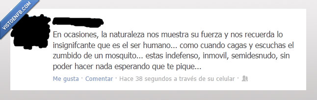 mosquito,cagar,naturaleza,desnudo,indefenso,pique,picar