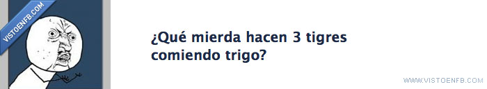 trigo,tigres,con razón estaban tristes
