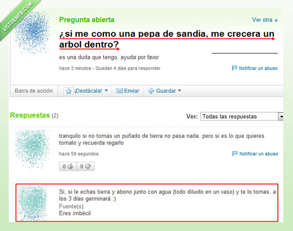 sandia,pepita,abono,tierra