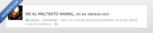 exnovio,maltrato animal,ex,vivir