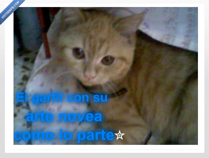 es un poeta,parte,novea,arte,garfil,chonis,canis,gatos,mininos