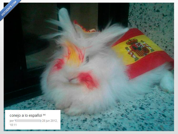 pinta,maltrato animal,españa,bandera,eurocopa,español