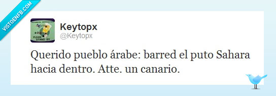 arena,sahara,canarias,árabes