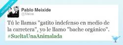 Enlace a ¿Qué ha sido ese bache? por @Meixe