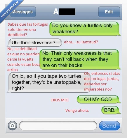 vuelta,idea,ingenio,liada,tortugas,debilidad