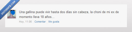 gallina,sin,vivir,exnovia,choni,cabeza