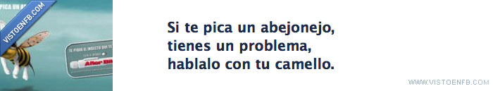 pica,camello,drogas,abejonejo,after-bite,medico