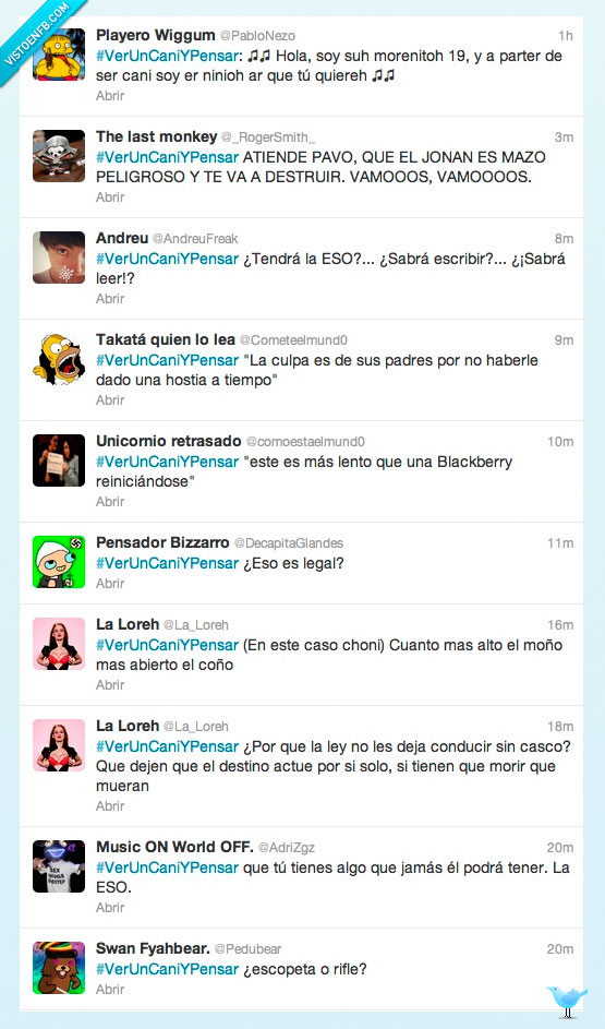 cani,choni,inutiles,everywhere