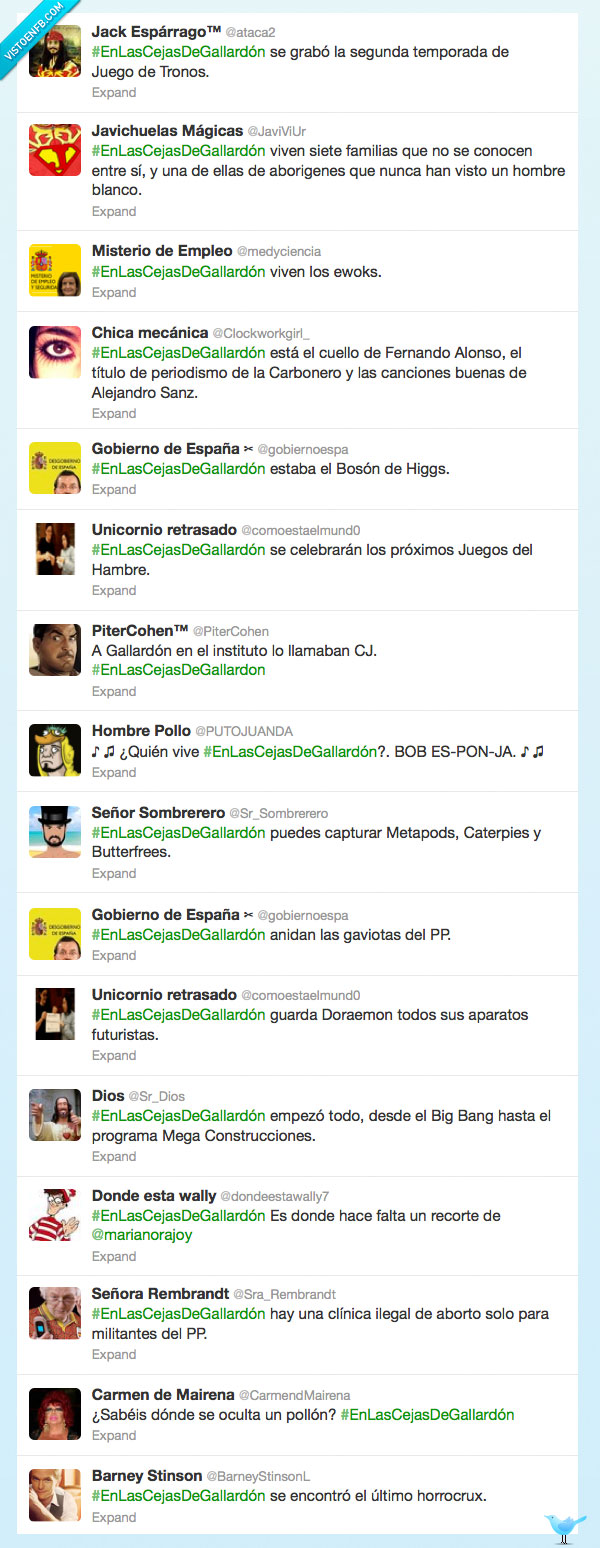 peludo,poblada,ceja,enlascejasdegallardon,pelo,pokemon