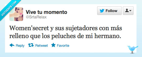 twitter,sujetadores,relleno,women'secret,peluches,pasarse,pushup