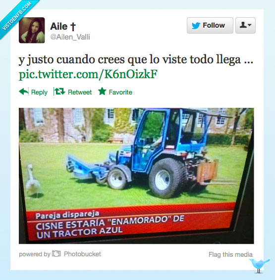 pato,azul,tractor,cisne,enamorado,amor,que bonito