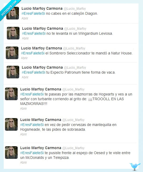 gordo,harry potter,falete,sobrasada,hogsmeade,callejon,diagon,troll,mazmorra