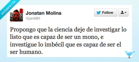 estupidez,inteligencia,monos,investigacion,hombres