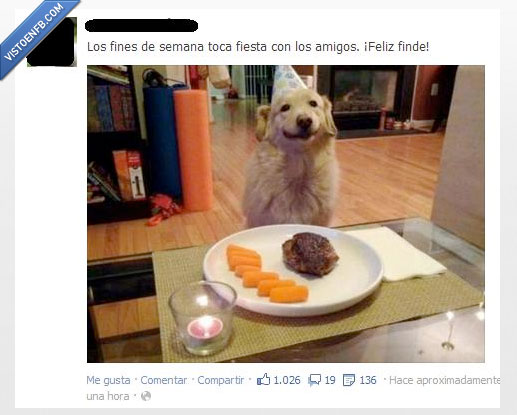 perro,fiesta,facebook,forever alone,ese finde wenooooo