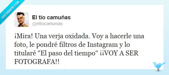 fotografía,verja,instagram,fotografa