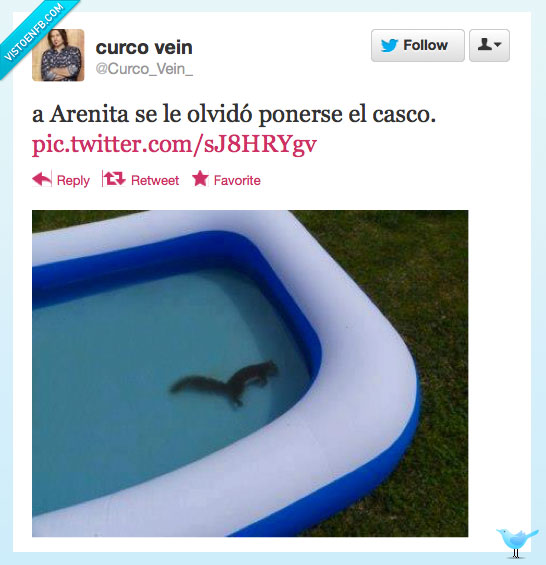 Ardilla,Bob esponja,Arenita,LOL