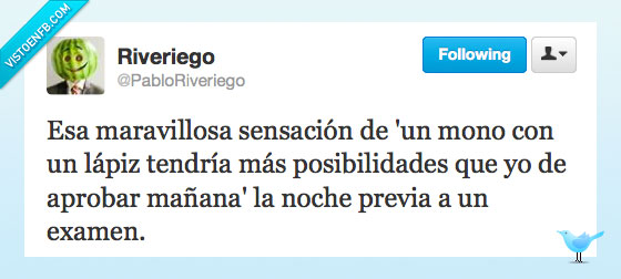 aprobar,lápiz,mono,sensación,examen,antes,noche