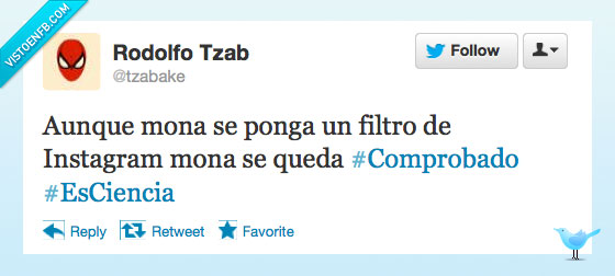 Instagram,refran,dicho,moderno,comprobado,ciencia,mona