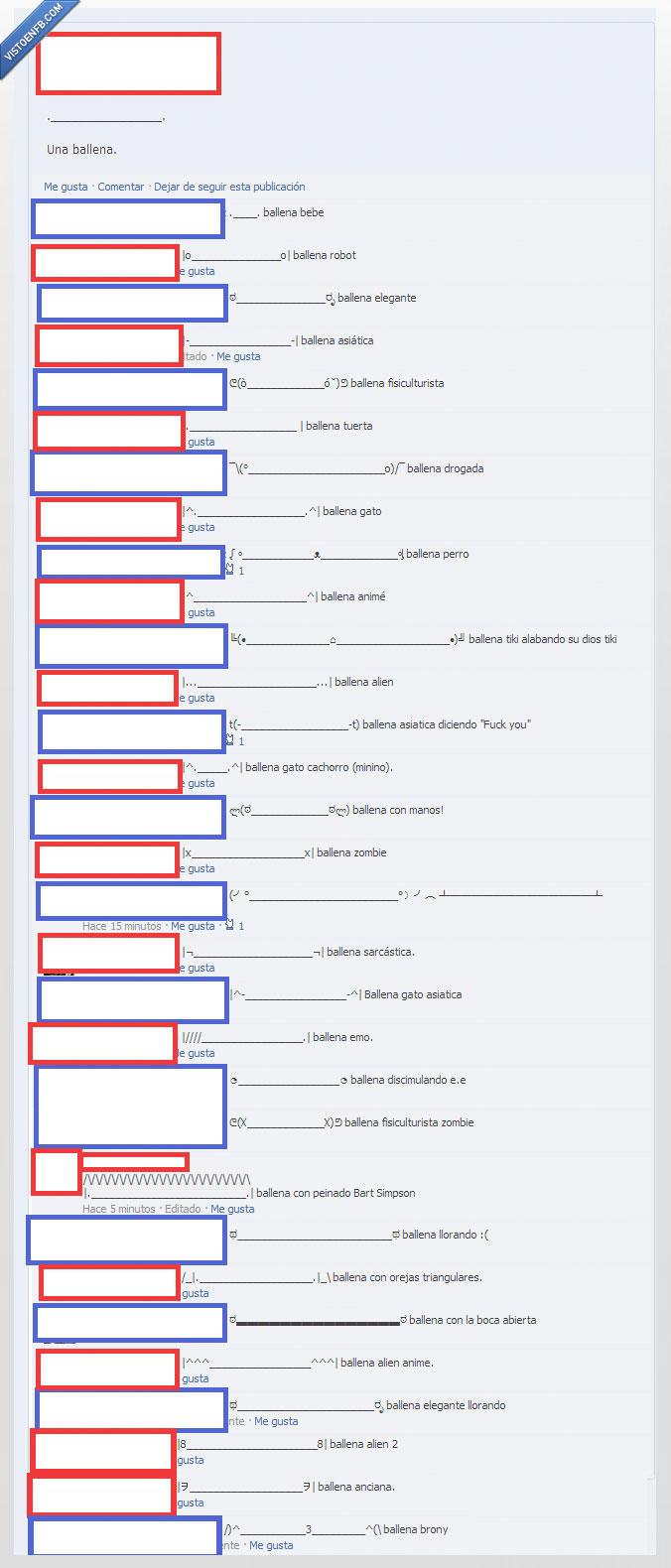 ballenas,facebook,estado