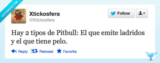 pitbull,pelo,ladrar,tipos