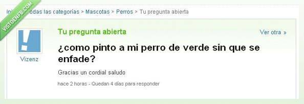 enfade,Pintar,Verde,Perro