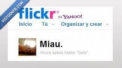 Enlace a Gracias, Flickr, ahora soy mucho más sabio