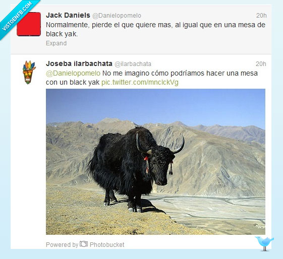 black jack,yak
