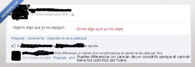 fuera,colmullo,cocodrilo,caiman,diente,Facebook,Win,Epic,Tonto,Estado