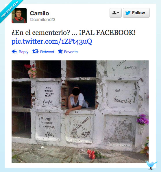 cementerio,falta de respeto,cani