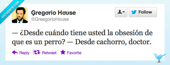 cachorro,doctor,obsesión,Perro