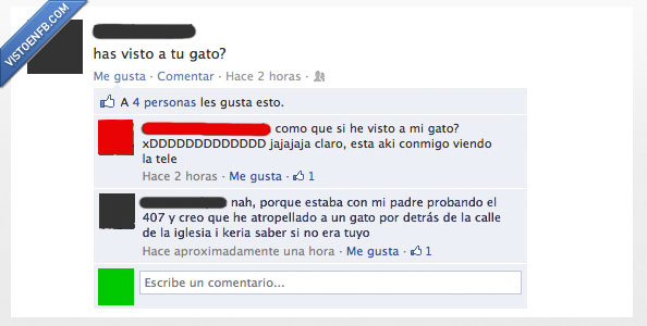 gato,matar,atropellar,coche,iglesia,calle