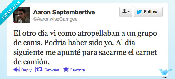 canis,atropellar,camión,carnet,podria