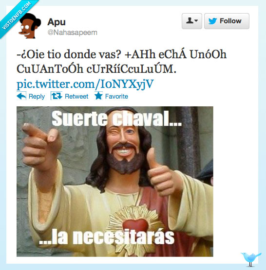 cani,curriculum,trabajo,suerte