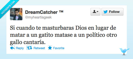 político,cantaría,gallo,matara,gatito