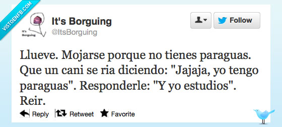 cani,como,contestarle,llueve,estudios