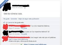 Enlace a Malditos mapaches italianos...
