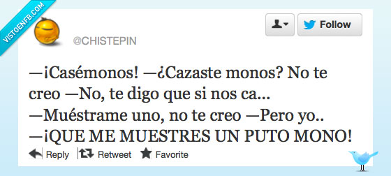 casamiento,monos,maza,casemonos,muestra