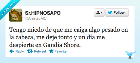 miedo,caiga,algo,pesado,cabeza,deje,tonto,gandia shore