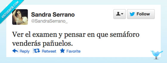 semaforo,vender,pañuelo,pobre,examen