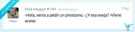 festival,chiste,malo,malísimo,crédito,oveja,balar,behehe