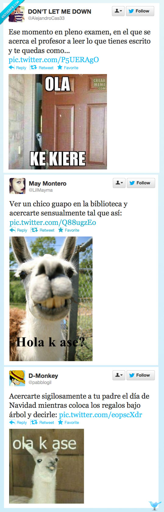 ola,ke ase,dise,kiere,perro,examen,navidad,llama,alpaca