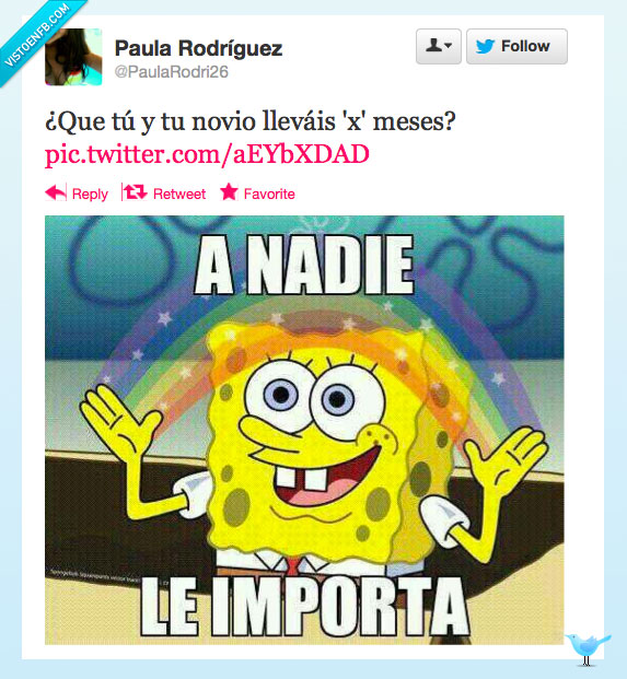 importa,nadie,esponja,bob,parejas,twitter