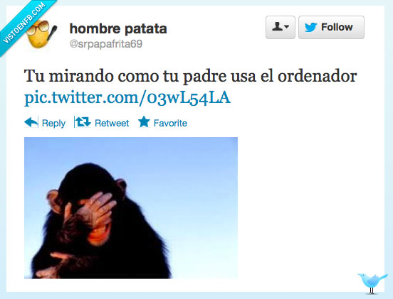 facepalm,mono,manejar,twitter,ordenador