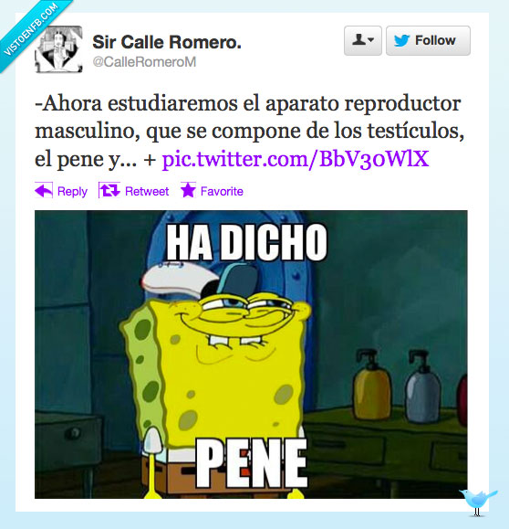 bob esponja,risa floja,como niños pequeños,reproductor,explicacion