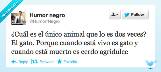 agridulce,chinos,cerdo,gato,alepasher,twitter,humor negro